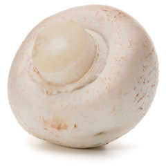 Champignon isolated on white background cutout