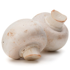 Champignon isolated on white background cutout