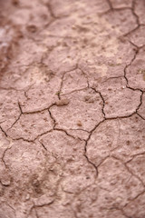 in the desert the dry ground