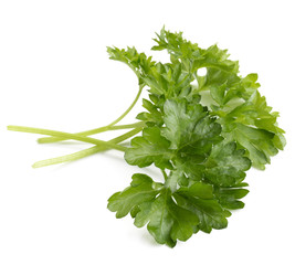 fresh parsley herb  leaves isolated on white background cutout