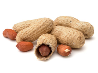 Opened and whole peanut or groundnut pod isolated on white background close up