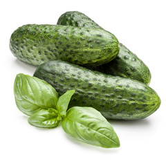 Cucumber vegetable and basil leaves isolated on white background cutout