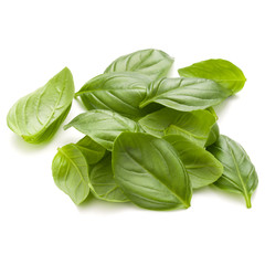 Sweet basil herb leaves handful isolated on white background closeup