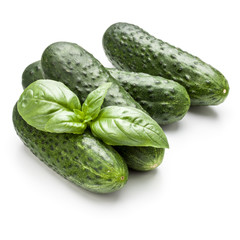 Cucumber vegetable and basil leaves isolated on white background cutout