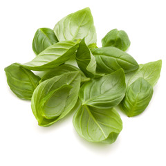 Sweet basil herb leaves handful isolated on white background closeup