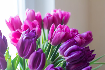 Fototapeta premium close up picture of fresh pink and purple tulips on table 
