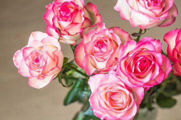 bouquet of fresh pink roses on table 