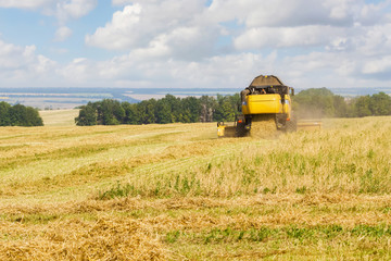 Combine harvester working on a field on sunny summer day with blue sky. Agriculture