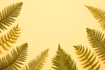 Autumn Arrives. Fall Leaves Floral Background. Fall Fashion Art Design. Minimal. Fern Leaves....