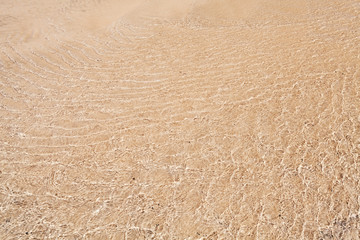 Fototapeta na wymiar Texture of sand under shallow ripple water