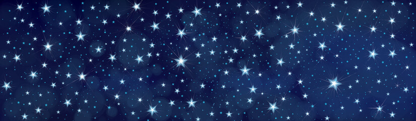 Vector starry  night sky  background. - 169790923