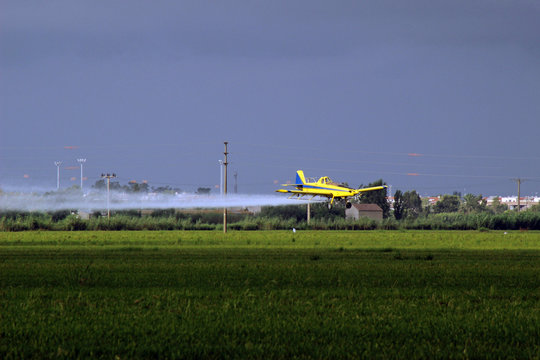 Avioneta fumigando plantaci&oacute;n de arroz en el Delta del Ebro, Catalu&ntilde;a (Espa&ntilde;a)