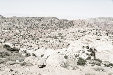 in the scenic wildlife  valley  natural  reserve