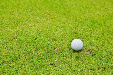 Golf ball on the lawn