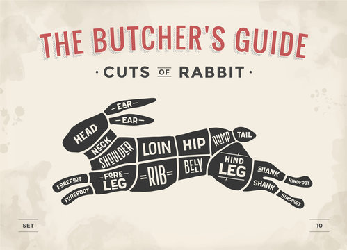 Cut of meat set. Poster Butcher diagram, scheme - Rabbit. Vintage typographic hand-drawn rabbit or hare silhouette for butcher shop, restaurant menu, graphic design. Meat theme. Vector Illustration