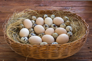 Quail and chicken eggs