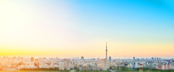 Bedrijfs- en cultuurconcept - panoramische moderne skyline van de stad in vogelvlucht vanuit de lucht met tokyo skytree onder dramatische zonsonderganggloed en mooie bewolkte hemel in Tokio, Japan. Miniatuur Tilt-shift-effect