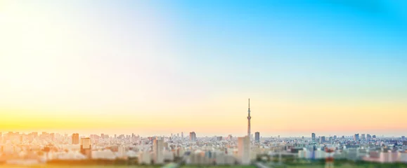 Zelfklevend Fotobehang Tokio Bedrijfs- en cultuurconcept - panoramische moderne skyline van de stad in vogelvlucht vanuit de lucht met tokyo skytree onder dramatische zonsonderganggloed en mooie bewolkte hemel in Tokio, Japan. Miniatuur Tilt-shift-effect