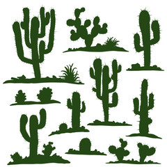 Set of different types of green cacti plants. Vector illustration.
