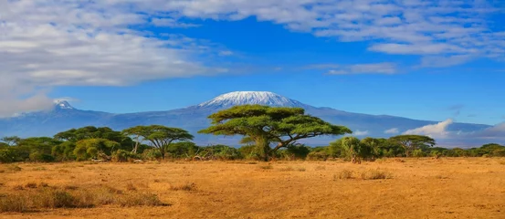 Crédence en verre imprimé Kilimandjaro La montagne du Kilimandjaro en Tanzanie enneigée sous un ciel bleu nuageux capturé lors d& 39 un safari en Afrique au Kenya.