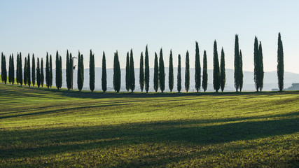 Obraz premium Tuscany landscape