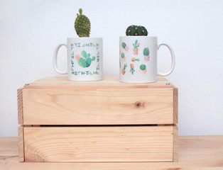 Cactus y taza