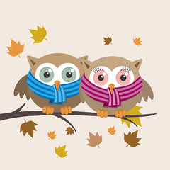 Couple of owls with scarf on a fall day