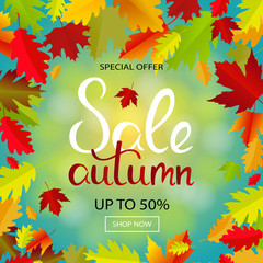 Sales banner with multicolor autumn leaves. Vector