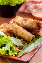 Spring rolls