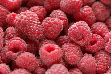Fresh and sweet raspberries background. Selective focus