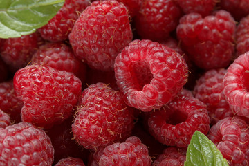 Fresh and sweet raspberries background. Selective focus