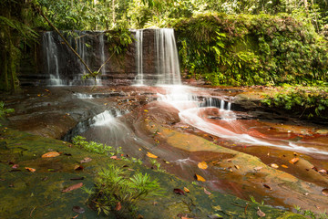 Fototapeta premium Waterfall in the jungle (Lambir Hill, Malaysia)
