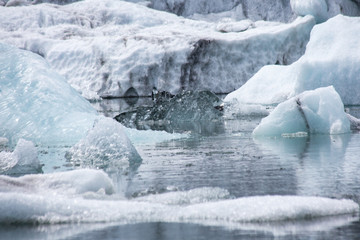 Gletschersee in Island