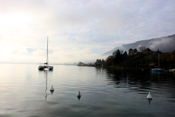 Blue lake of annecy with a parade of couple of grebes and mountains on winter morning