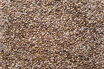 Background of coffee beans dark