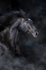 Fototapeta na wymiar Black horse portrait in motion on black background with fog and dust