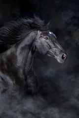 Tuinposter Zwart paardportret in beweging op zwarte achtergrond met mist en stof © kwadrat70