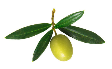 olive