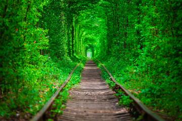 eine Eisenbahn im Frühlingswald Tunnel der Liebe