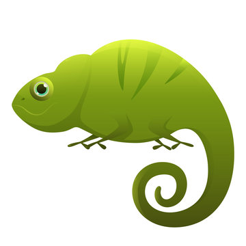 Chameleon cute cartoon character isolated on white background. Vector illustration