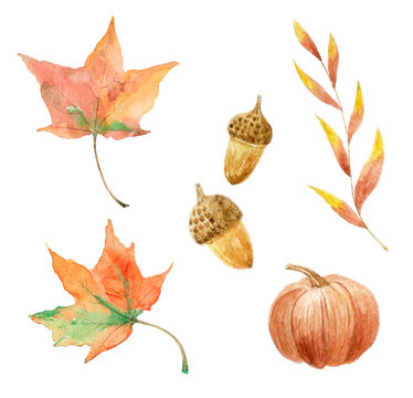 Autumn set. Watercolor illustration