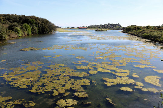 Marismas de Joyel, Soano, Cantabria