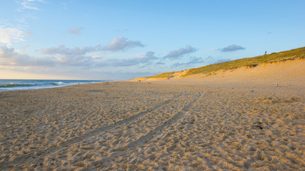 Lit-et-Mixe Beach, atlantic coast, France