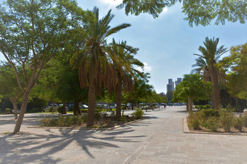 Nice green park in the middle of the city Israel