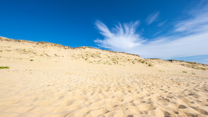 Fototapeta na wymiar Lit-et-Mixe Beach, atlantic coast, France