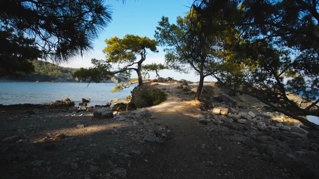 sea shore at sunset landscape