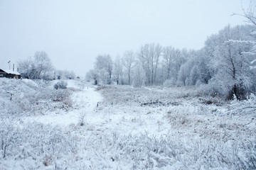 Obraz premium winter