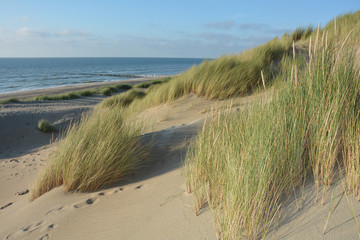 Fototapeta na wymiar In der Mitte von Sanddünen an der Nordsee mit dem Meer im Hintergrund