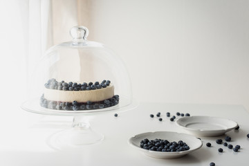 cheesecake with blueberries on glass stand