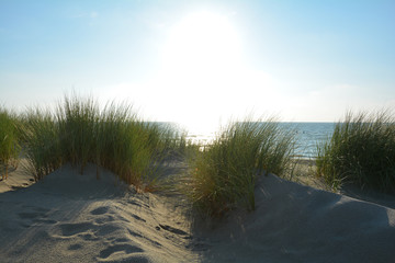 Sand Dünen mit Dünengras im Gegenlicht  an der Nordsee mit  strahlender Sonne
